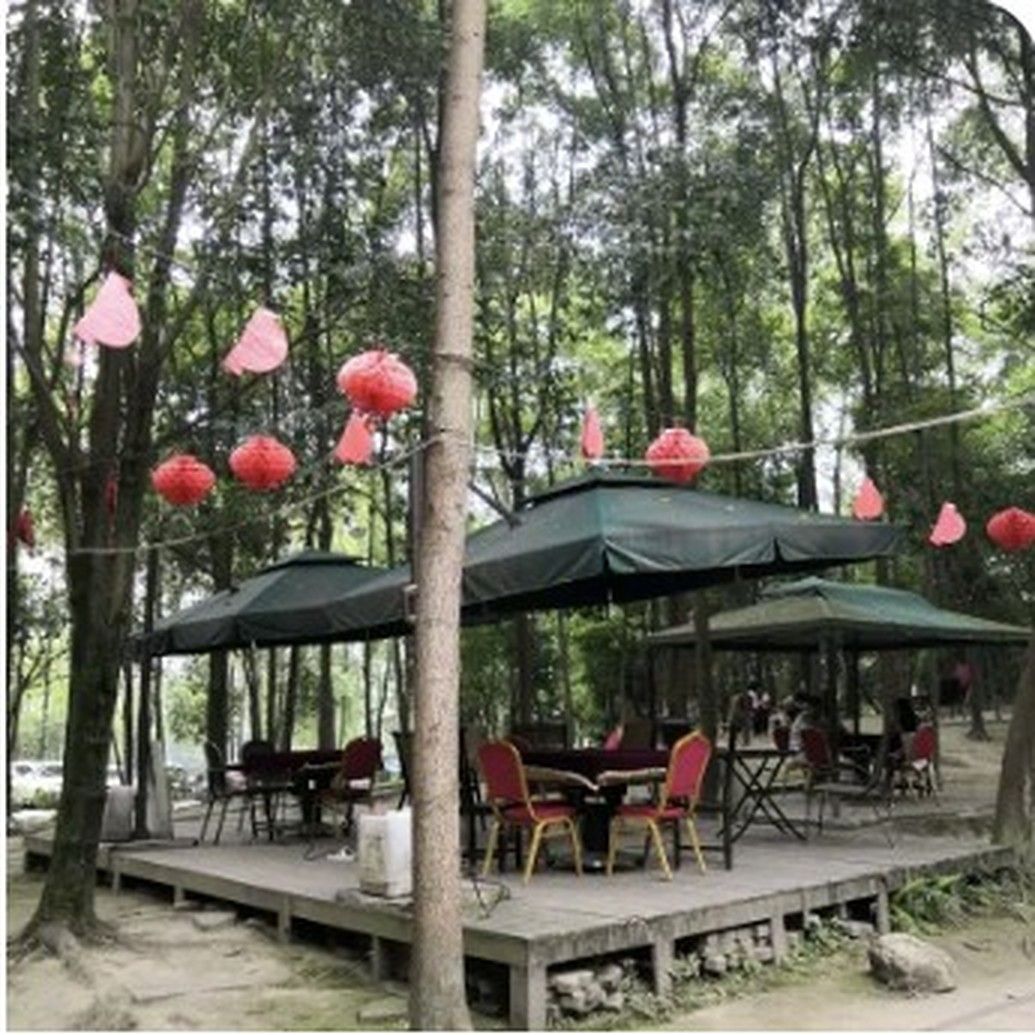 挂着红灯笼的户外用餐区，树荫下摆着桌椅